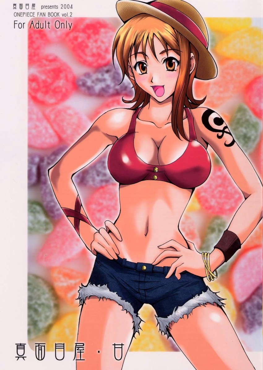 nami and monkey d. luffy (one piece) drawn by isao