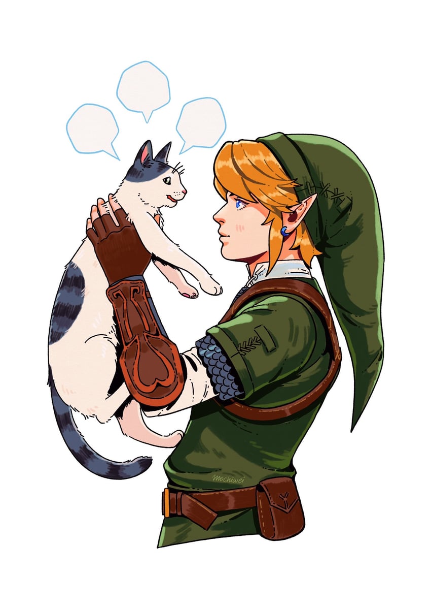 link (the legend of zelda and 1 more) drawn by mochiwei
