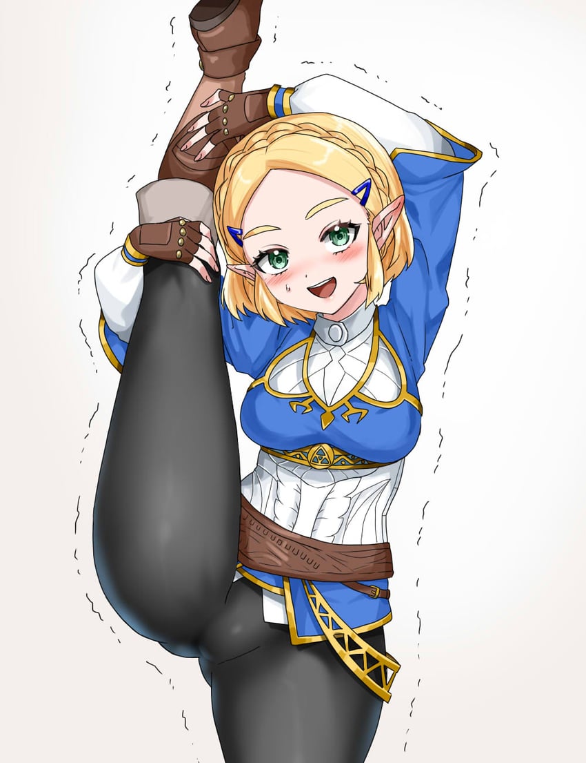 princess zelda (the legend of zelda and 1 more) drawn by wasabi_(legemd)