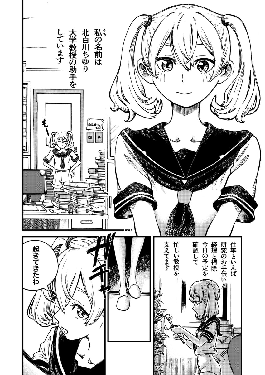 okazaki yumemi and kitashirakawa chiyuri (touhou and 1 more) drawn by sparrowafro