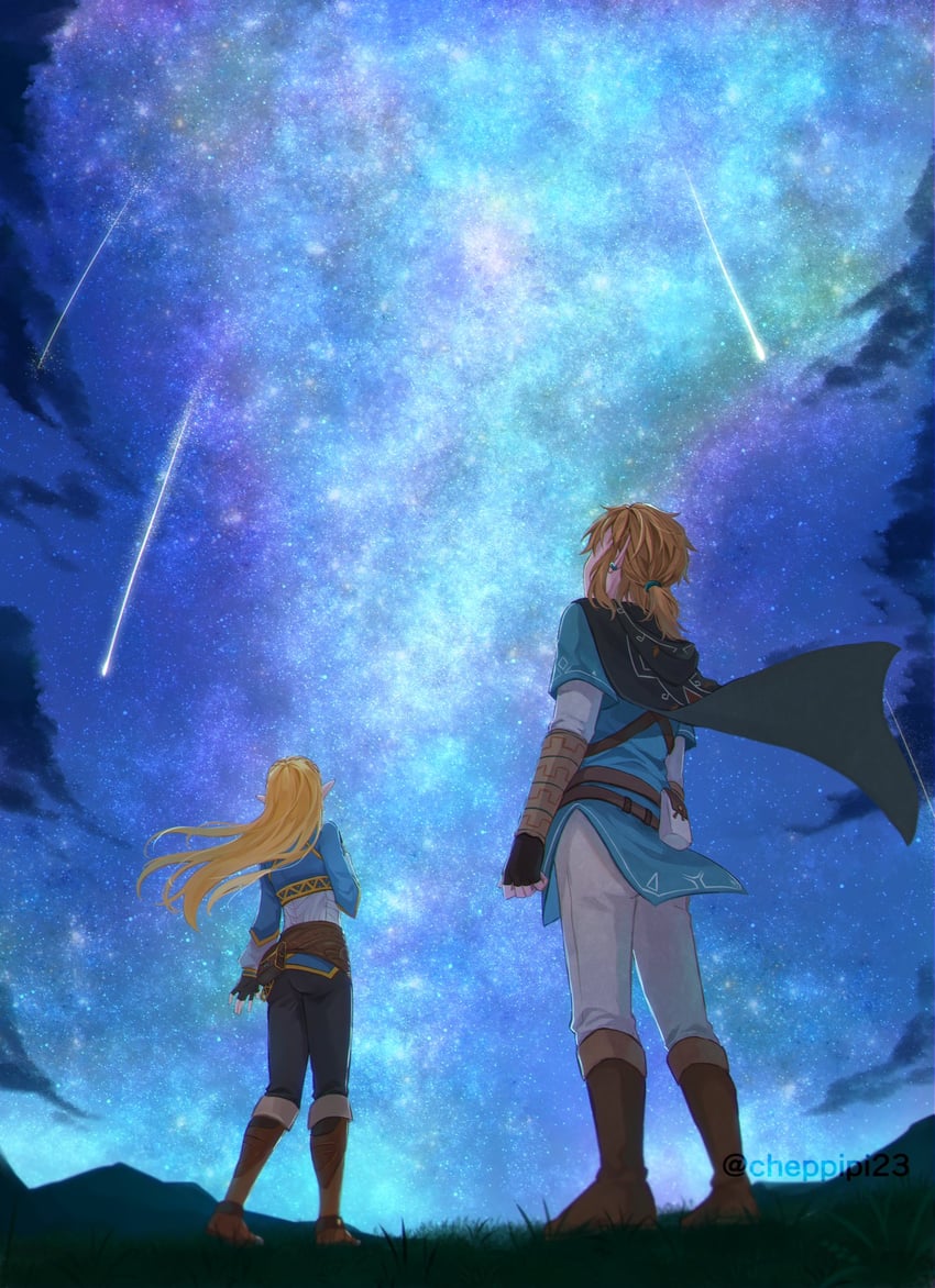 link and princess zelda (the legend of zelda and 1 more) drawn by yayoi_(chepiiii23)