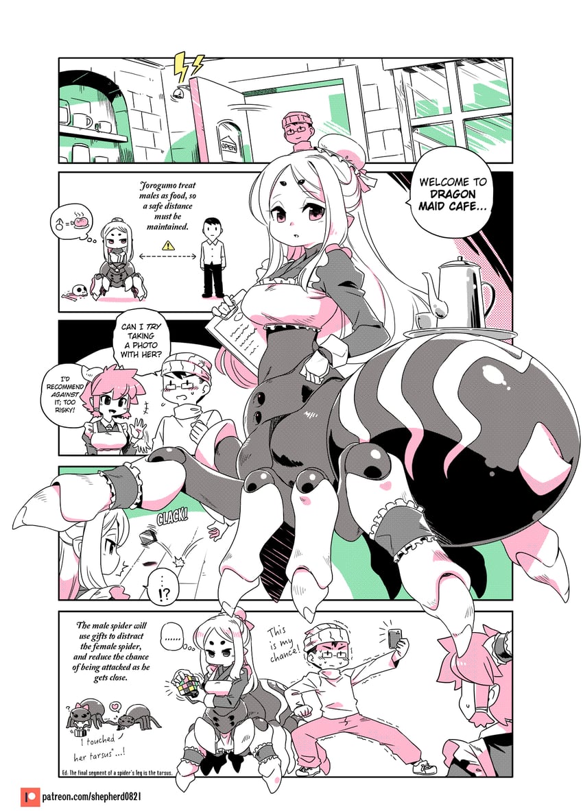 half-dragon maid and jorogumo (modern mogal) drawn by shepherd0821