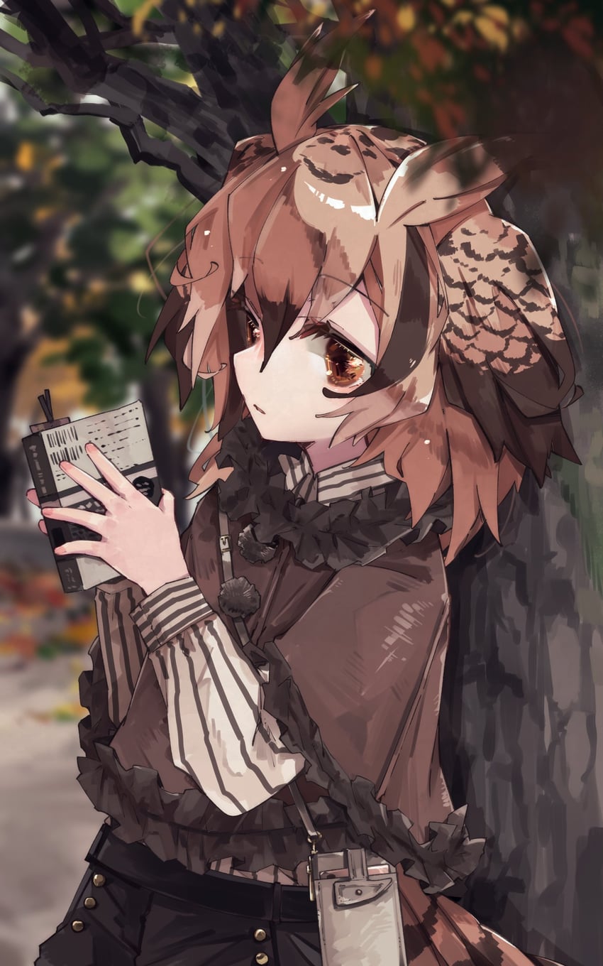 eurasian eagle owl (kemono friends) drawn by nanana_(nanana_iz)