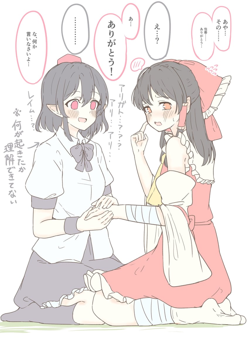 hakurei reimu and shameimaru aya (touhou) drawn by seele_(chanseele0128)