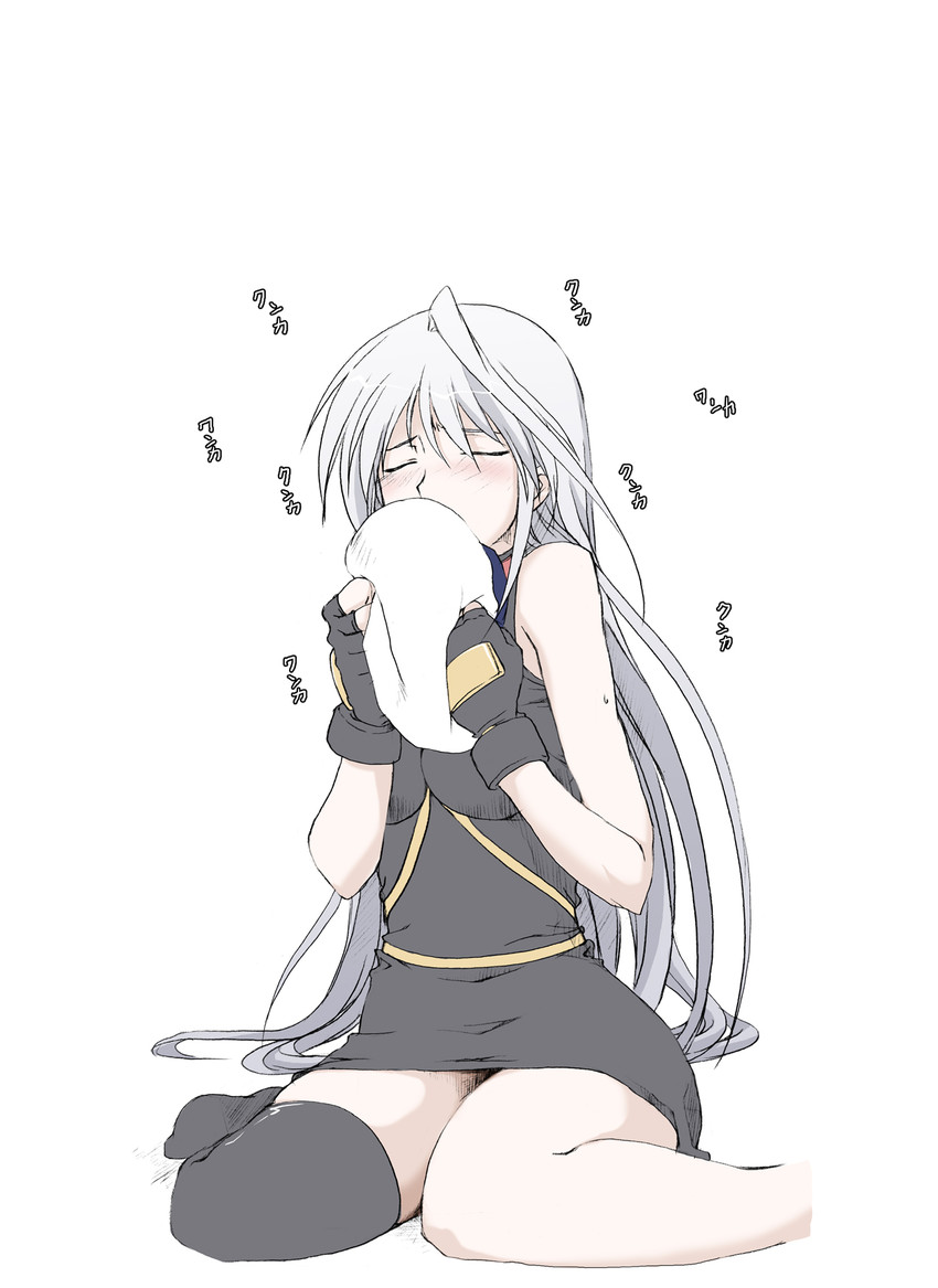 reinforce (lyrical nanoha and 2 more) drawn by elf_(stroll_in_the_woods)