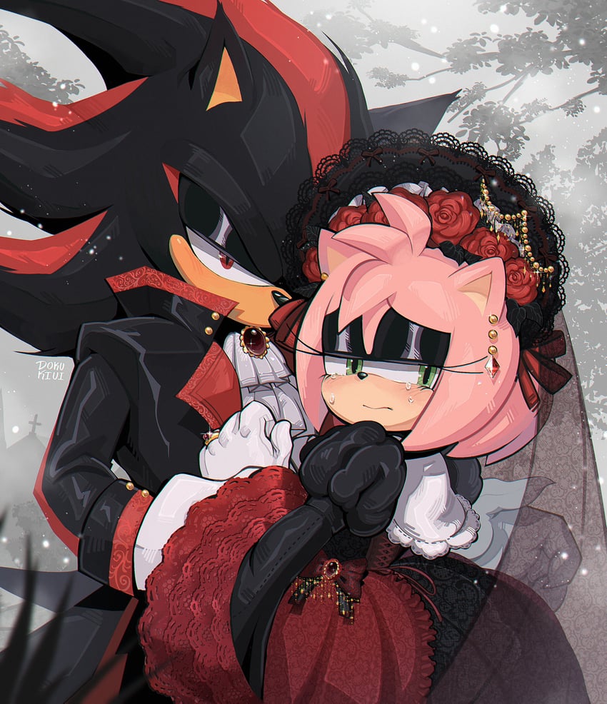 shadow the hedgehog and amy rose (sonic) drawn by dokukiui