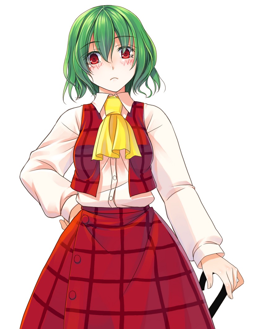 kazami yuuka (touhou) drawn by crote