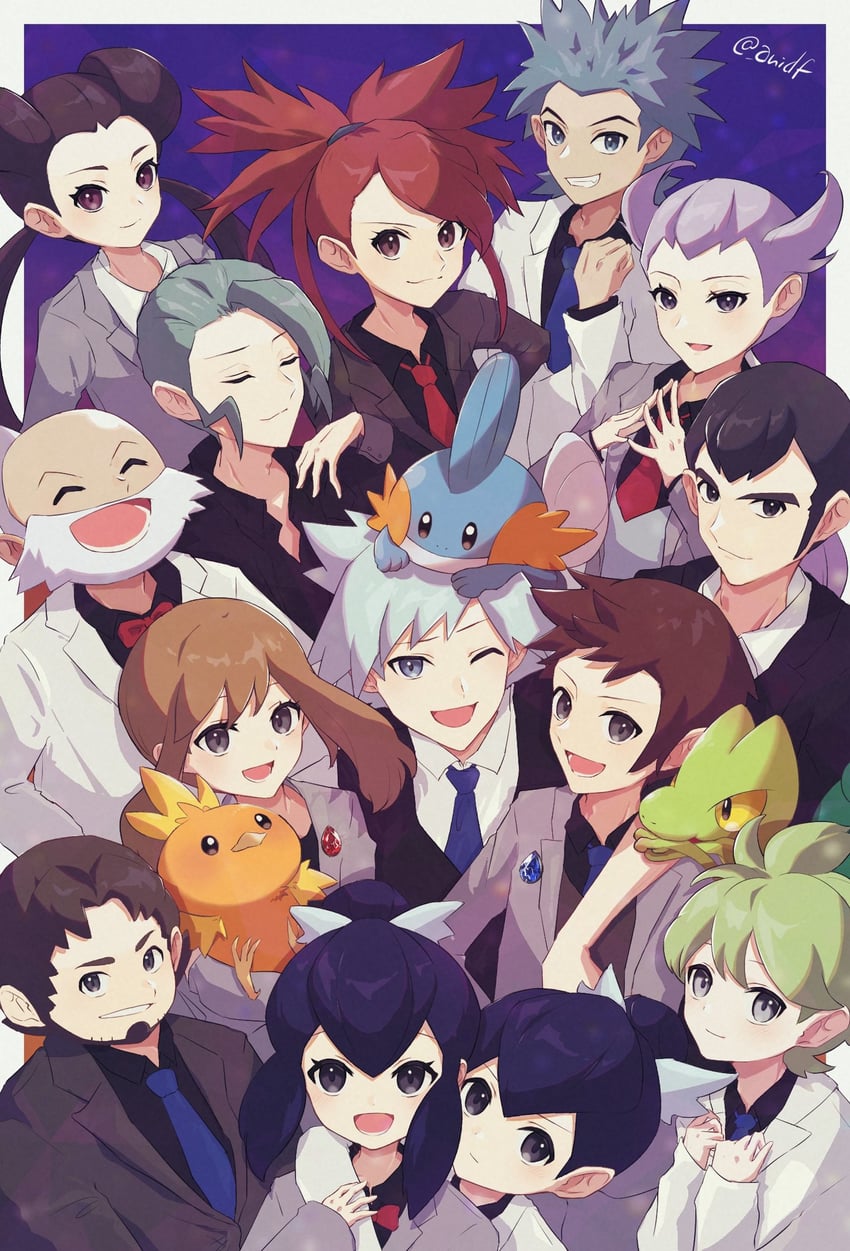may, brendan, torchic, mudkip, steven stone, and 12 more (pokemon and 1 more) drawn by anidf