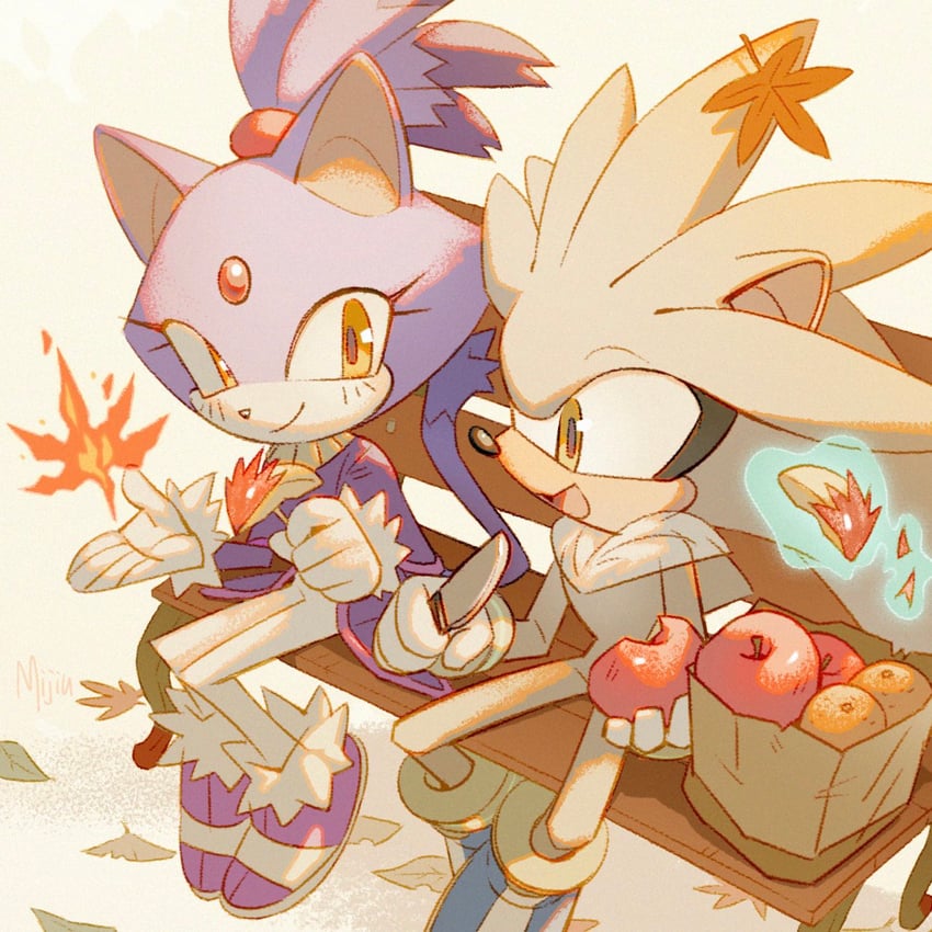 blaze the cat and silver the hedgehog (sonic and 1 more) drawn by miijiu