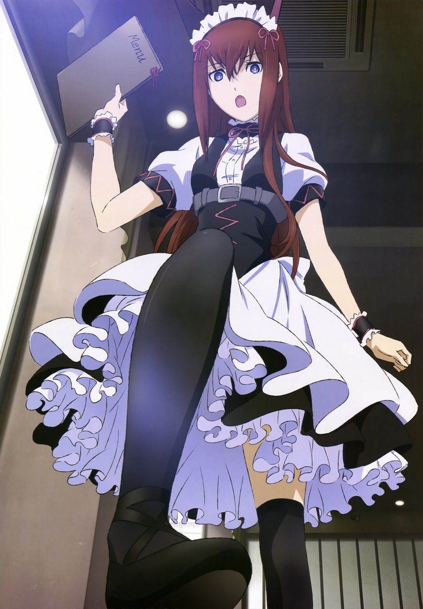 makise kurisu (steins;gate and 1 more) drawn by sakai_kyuuta