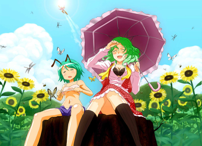kazami yuuka, wriggle nightbug, and hisou tensoku (touhou) drawn by hop-step-jump