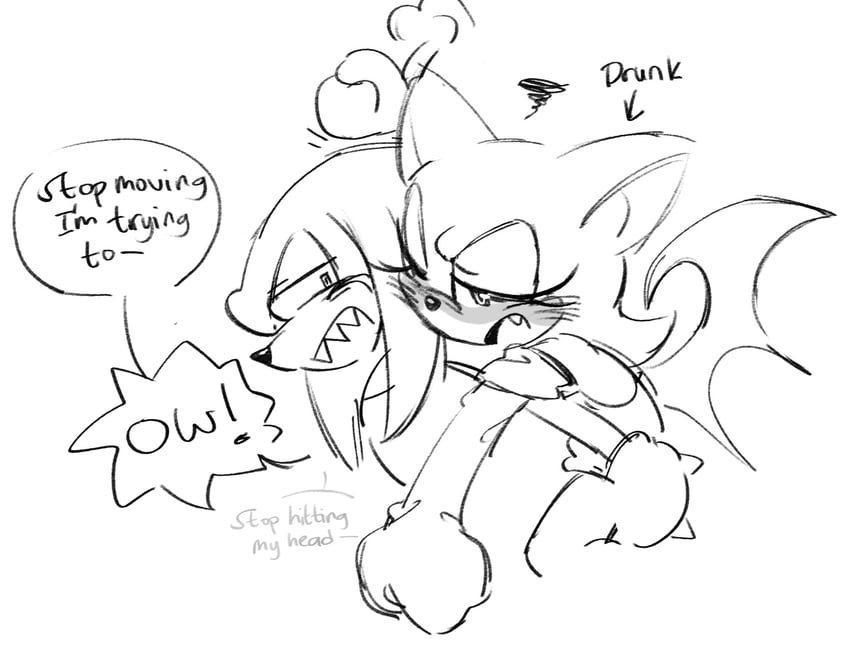 rouge the bat and knuckles the echidna (sonic) drawn by fishsoof