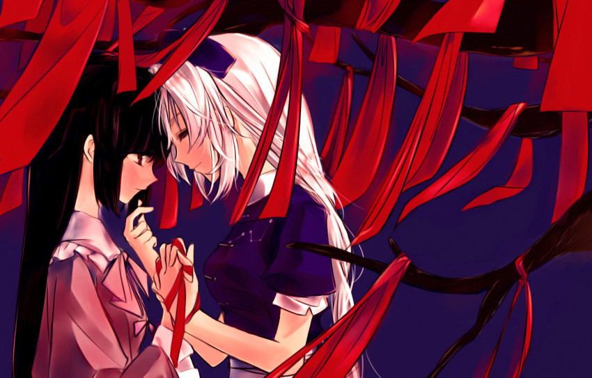houraisan kaguya and yagokoro eirin (touhou) drawn by alpha.e
