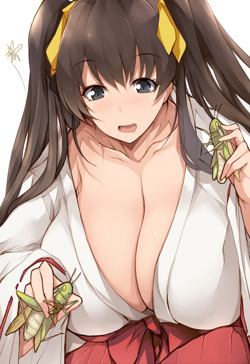 hikari (nige jouzu no wakagimi) drawn by tsukasawa_takamatsu