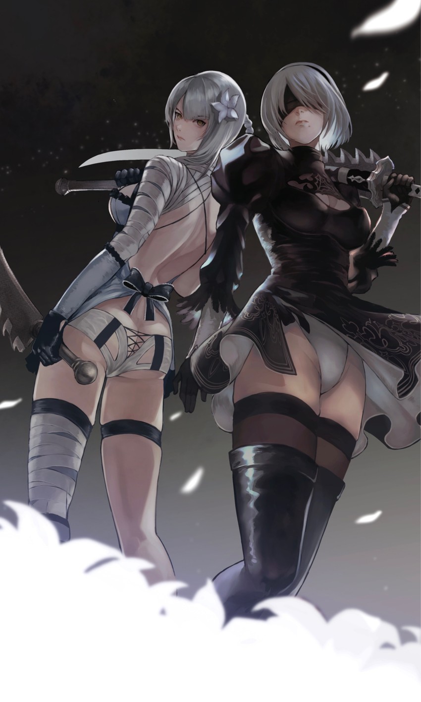 2b and kaine (nier:automata and 1 more) drawn by gauss_<bokashi