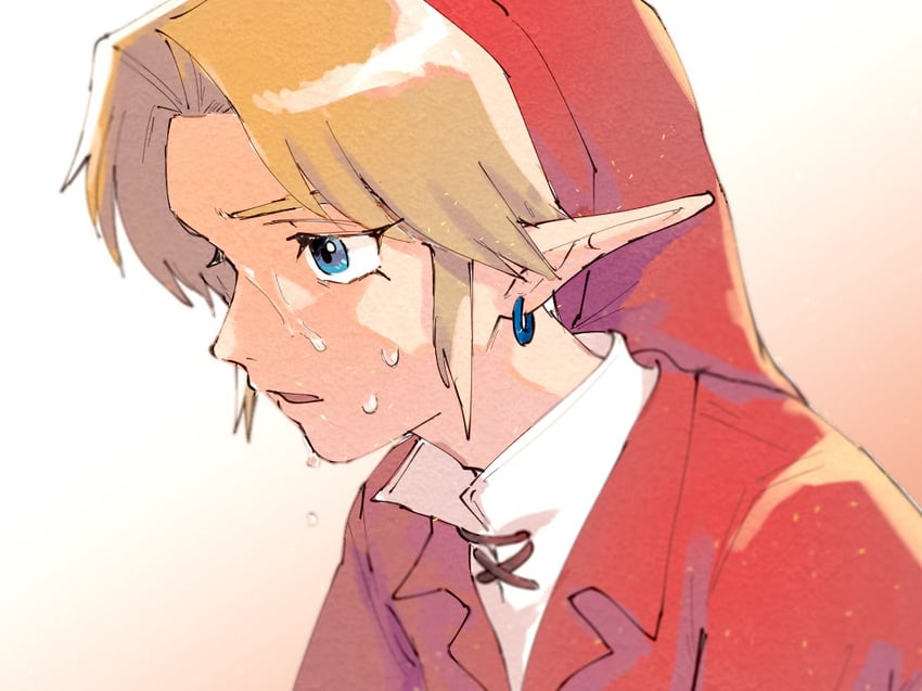 link (the legend of zelda and 1 more) drawn by yamori_(yamoooon21)