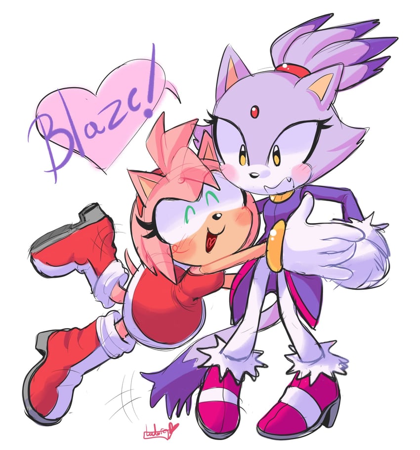 amy rose and blaze the cat (sonic) drawn by heartludwig