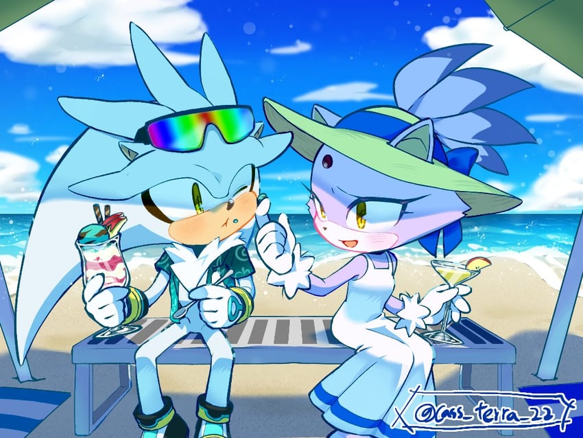 blaze the cat and silver the hedgehog (sonic and 1 more) drawn by cass_terra_22