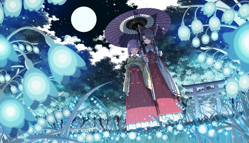 hakurei reimu and hieda no akyuu (touhou) drawn by sakuraba_yuuki