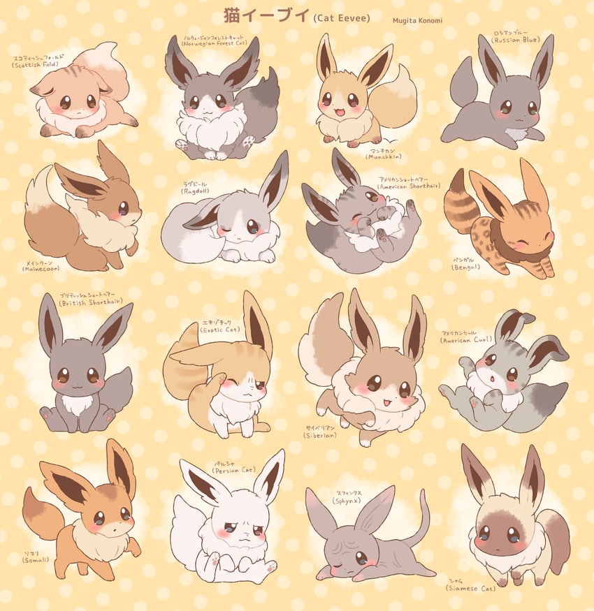 eevee (original and 1 more) drawn by mugita_konomi