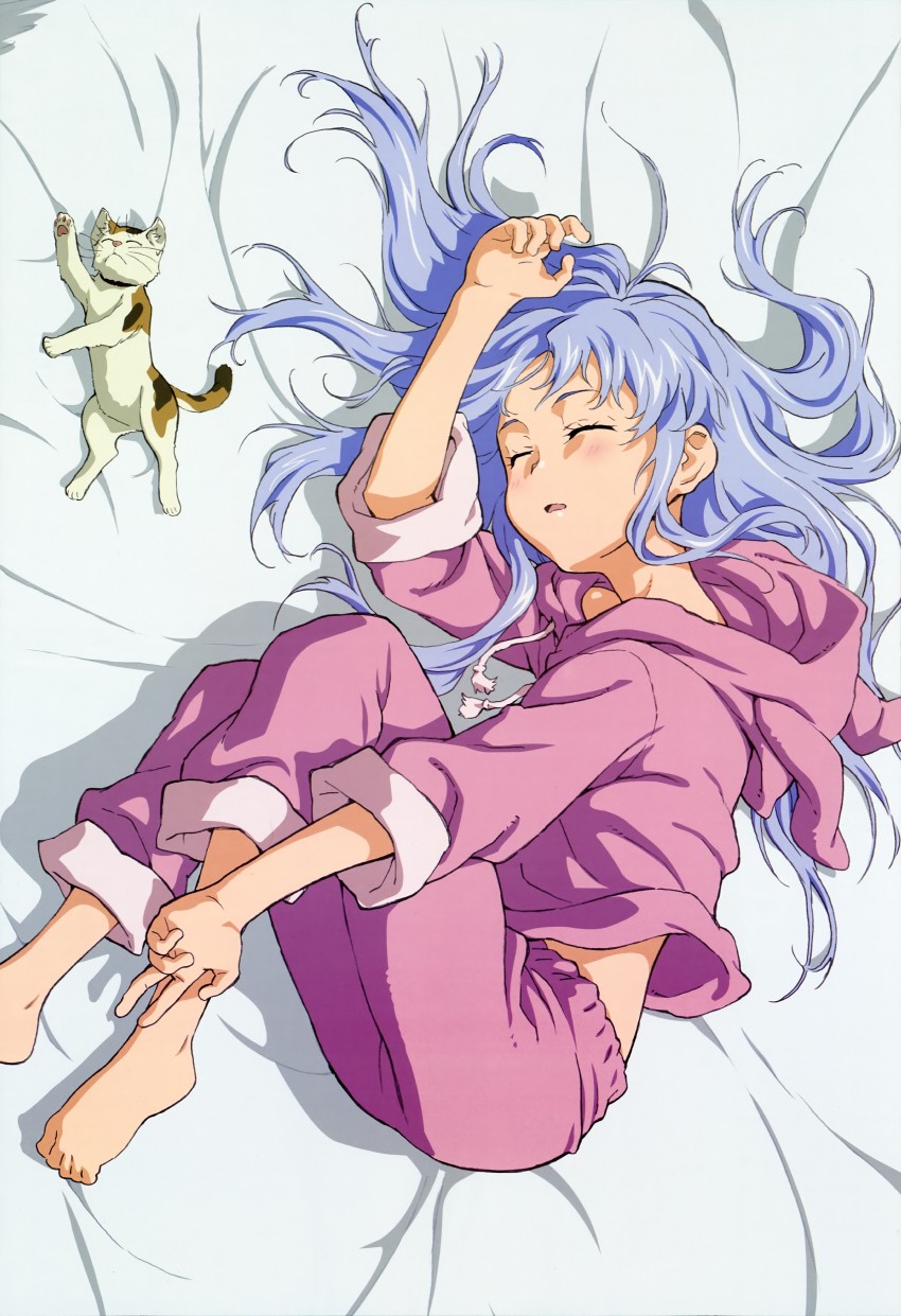 index and sphinx (toaru majutsu no index and 1 more) drawn by kawamura_takayasu