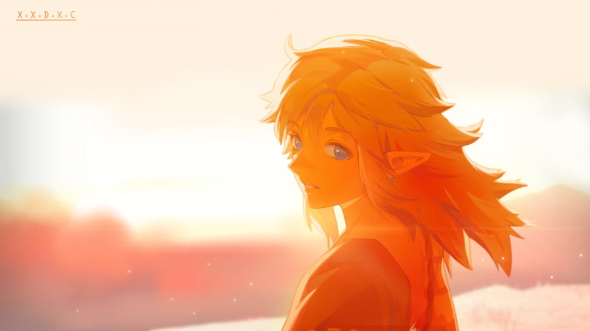 link (the legend of zelda and 1 more) drawn by x.x.d.x.c