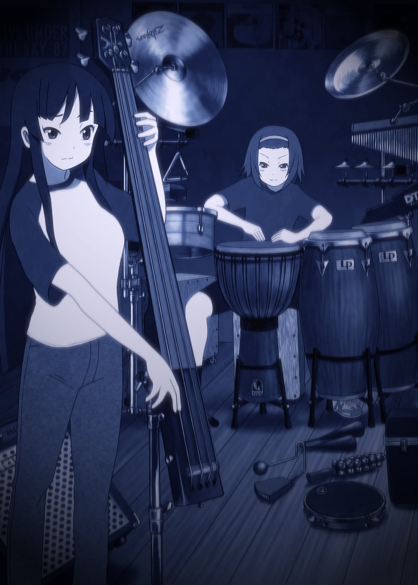 akiyama mio and tainaka ritsu (k-on!) drawn by richard_crazyman