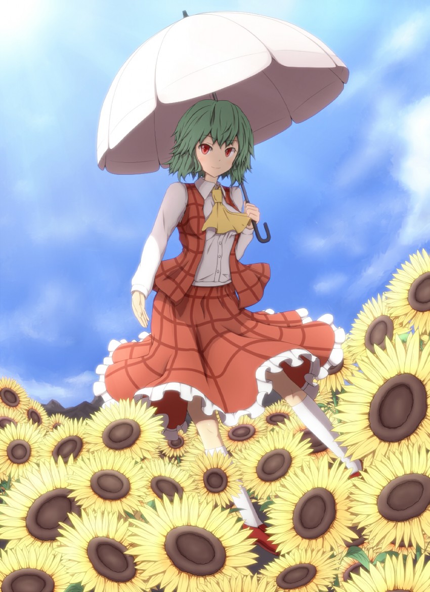 kazami yuuka (touhou) drawn by nogisaka_kushio