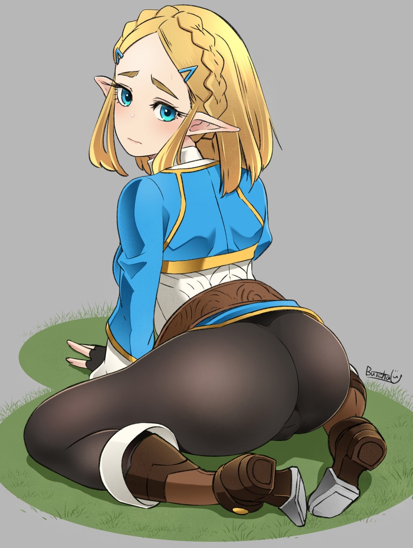 princess zelda (the legend of zelda and 1 more) drawn by butcha-u