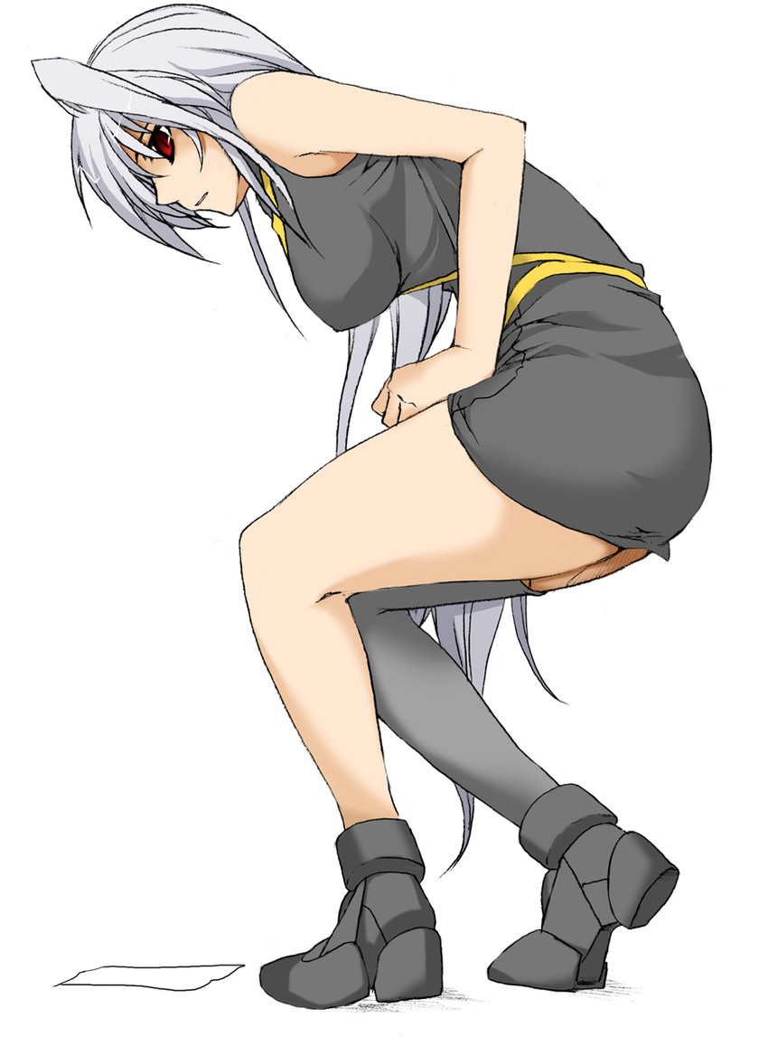 reinforce (lyrical nanoha and 2 more) drawn by elf_(stroll_in_the_woods)