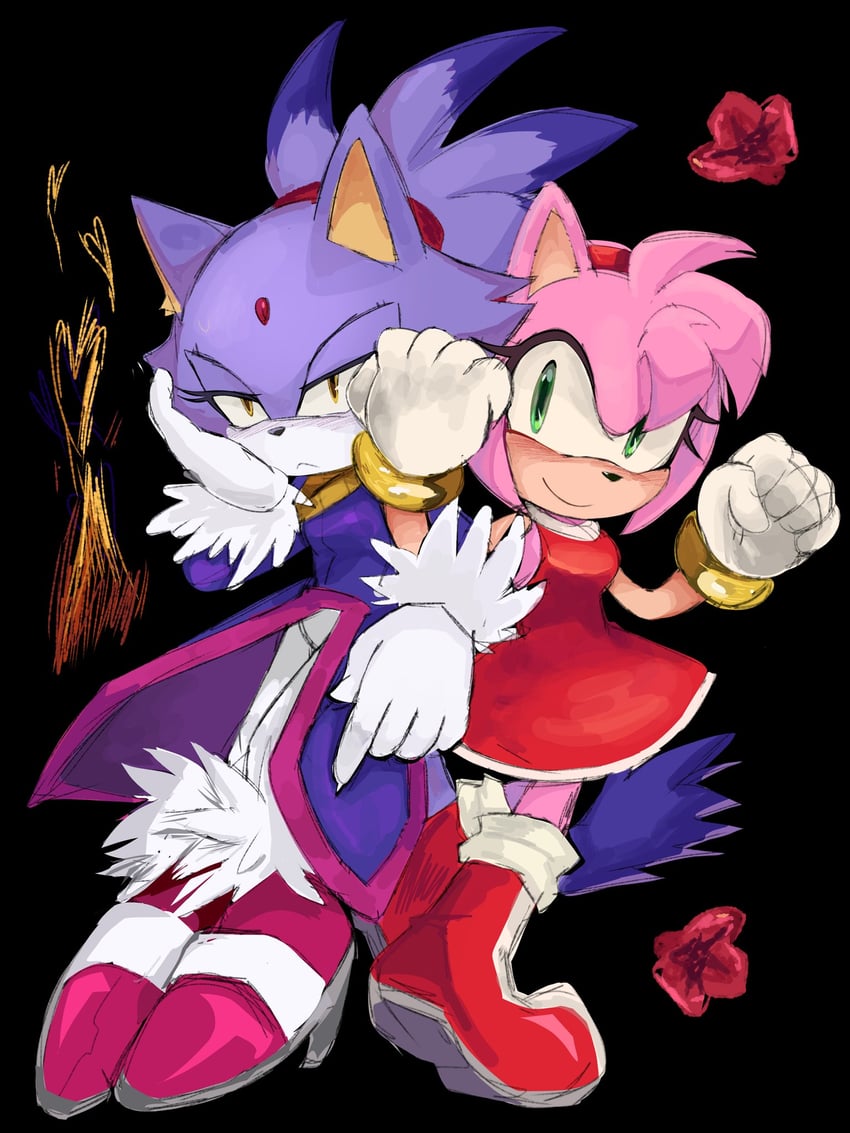 amy rose and blaze the cat (sonic and 2 more) drawn by zarenix_(p1ctur33)