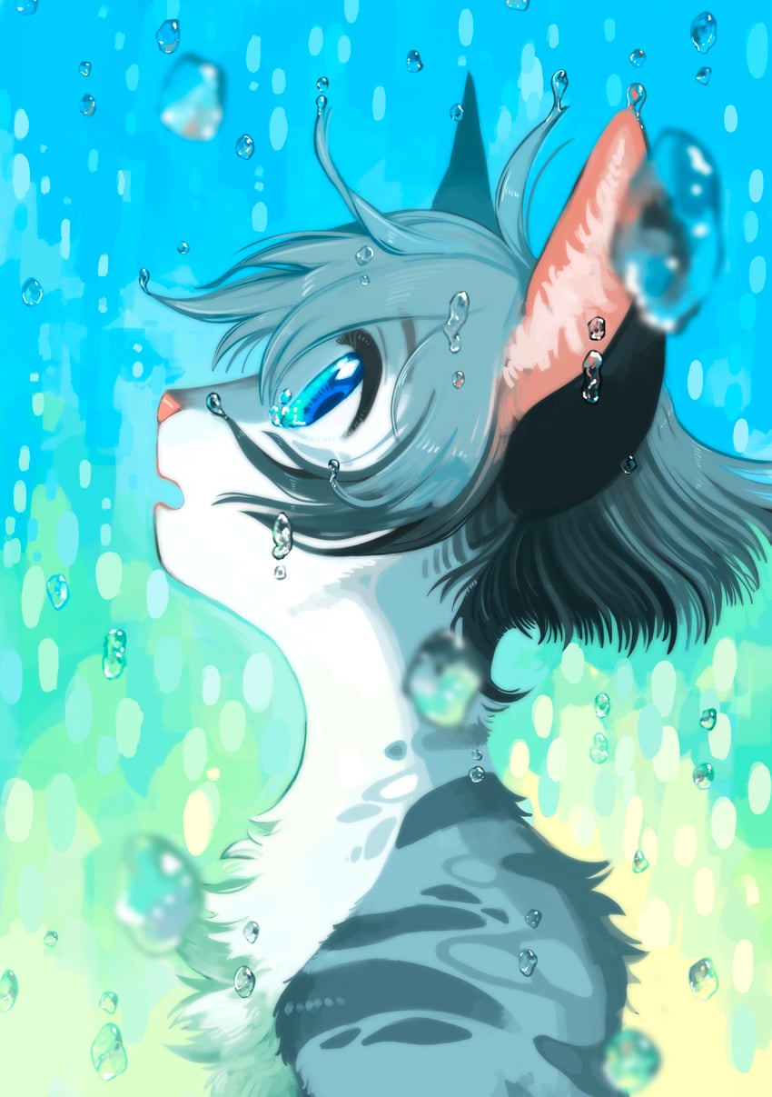 silverstream (warrior cats and 1 more) drawn by neko_gokoro