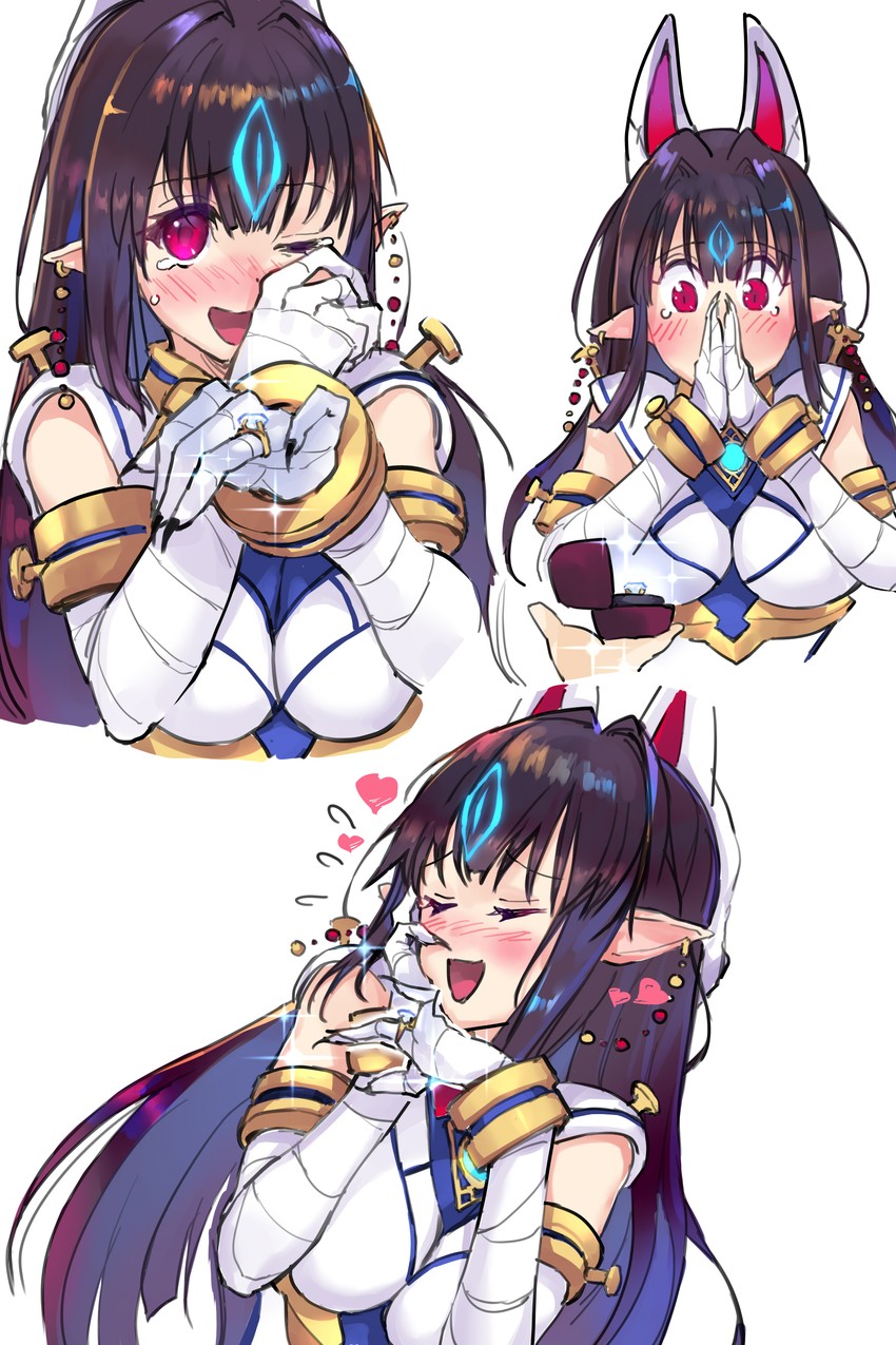 kasandra (xenoblade chronicles and 1 more) drawn by negresco
