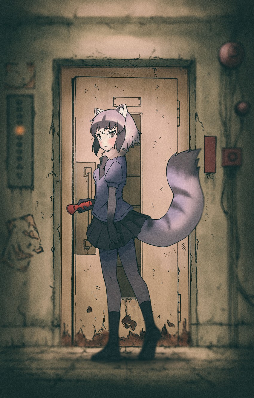 common raccoon (kemono friends and 1 more) drawn by enoki_art