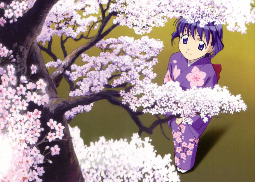 sakuraba aoi (ai yori aoshi) drawn by iwakura_kazunori
