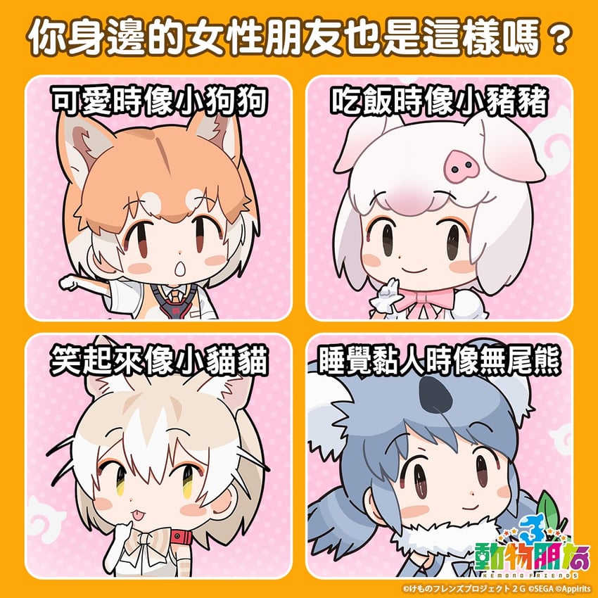 dog, pig, cat, and koala (kemono friends and 1 more)