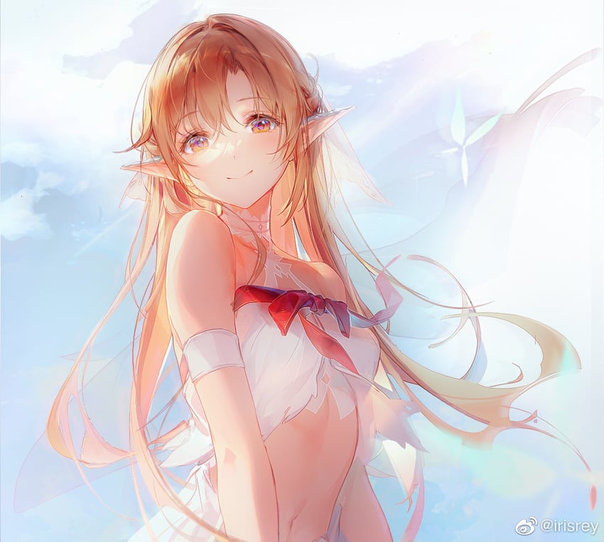 asuna and titania (sword art online) drawn by irisrey