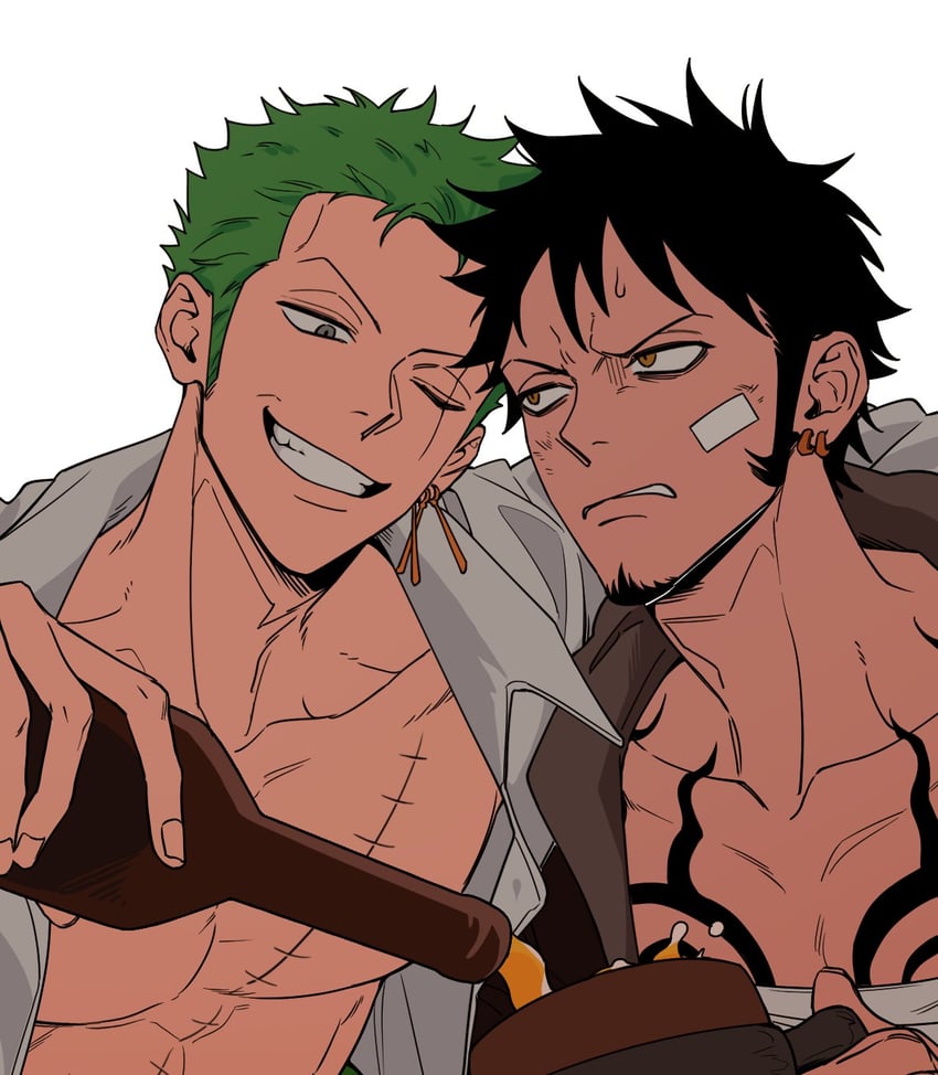 roronoa zoro and trafalgar law (one piece) drawn by hgacd8