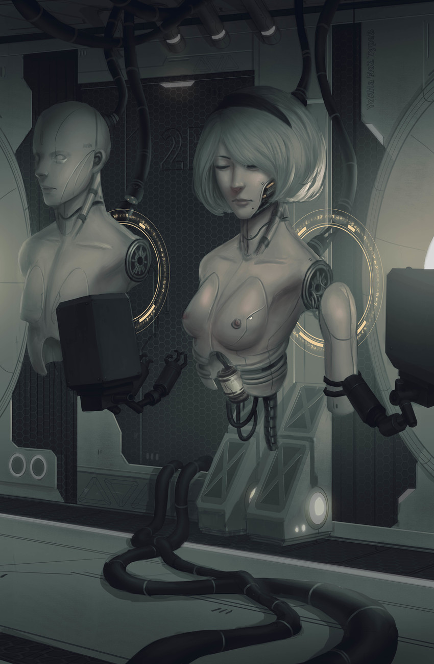 2b and pod (nier and 1 more) drawn by quang_hoang