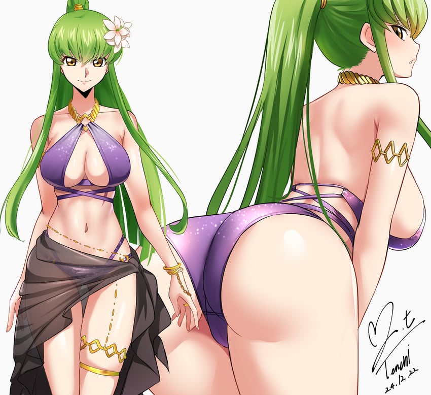 c.c. (code geass and 1 more) drawn by yoo_tenchi