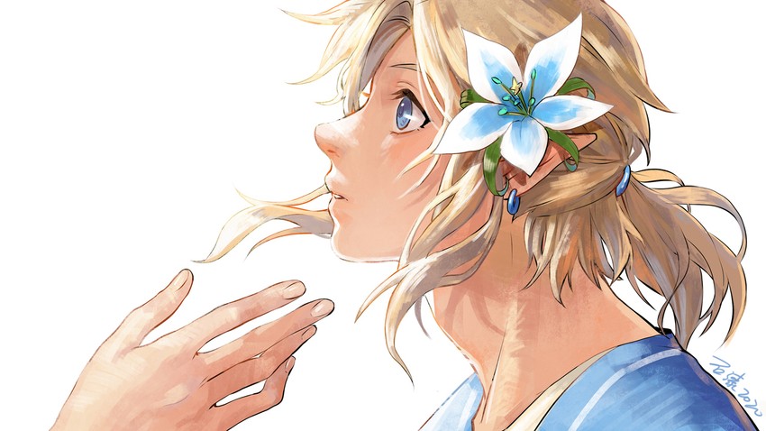 link (the legend of zelda and 1 more) drawn by shiqi1695