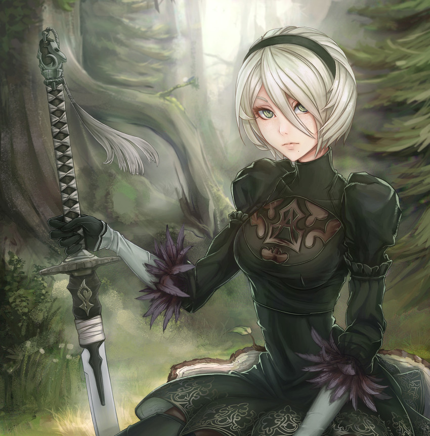 2b (nier and 1 more) drawn by unsomnus