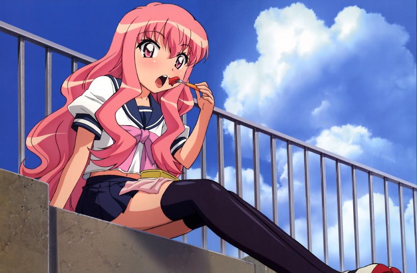 louise francoise le blanc de la valliere (zero no tsukaima)