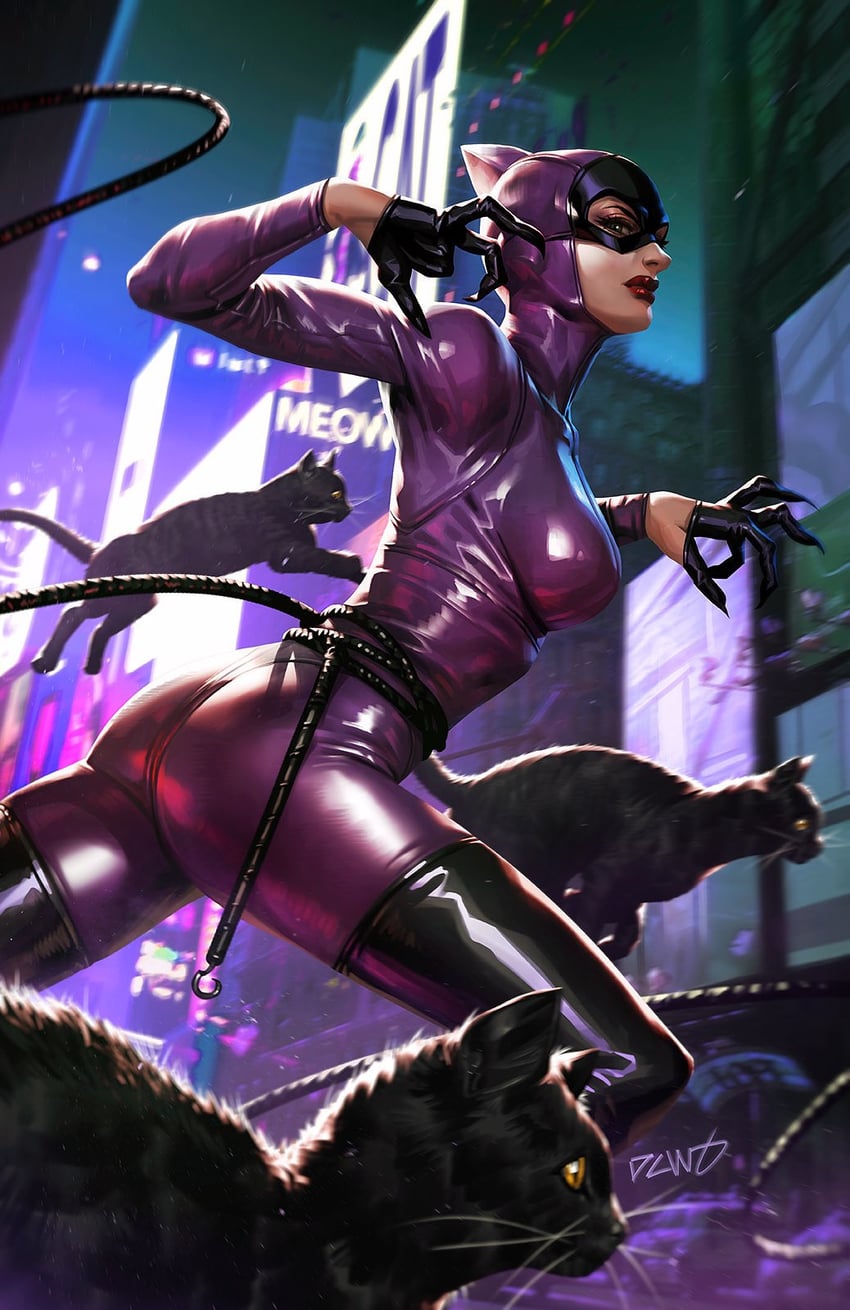 catwoman and selina kyle (dc comics and 1 more) drawn by dcwj