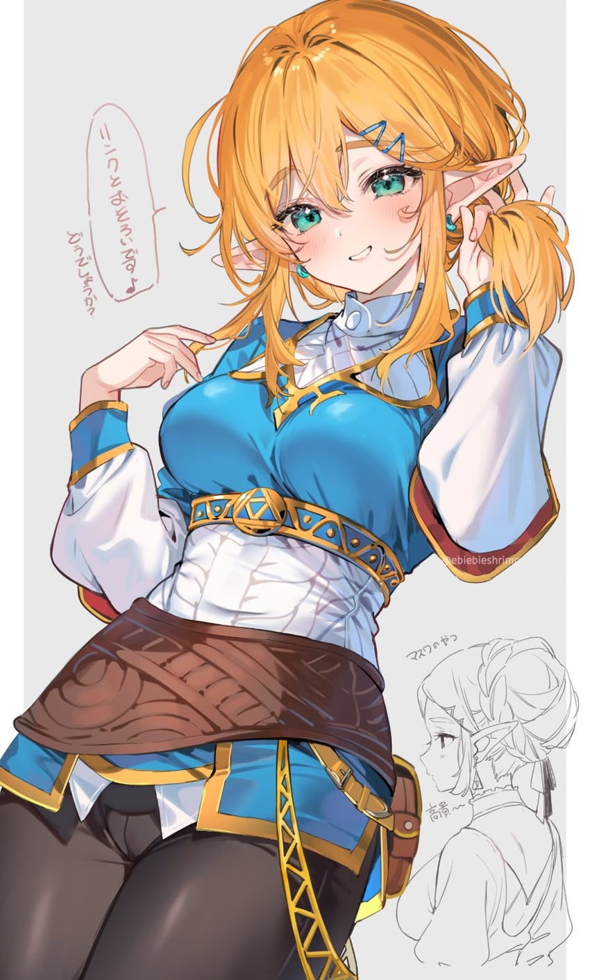link and princess zelda (the legend of zelda and 2 more) drawn by shuri_(84k)