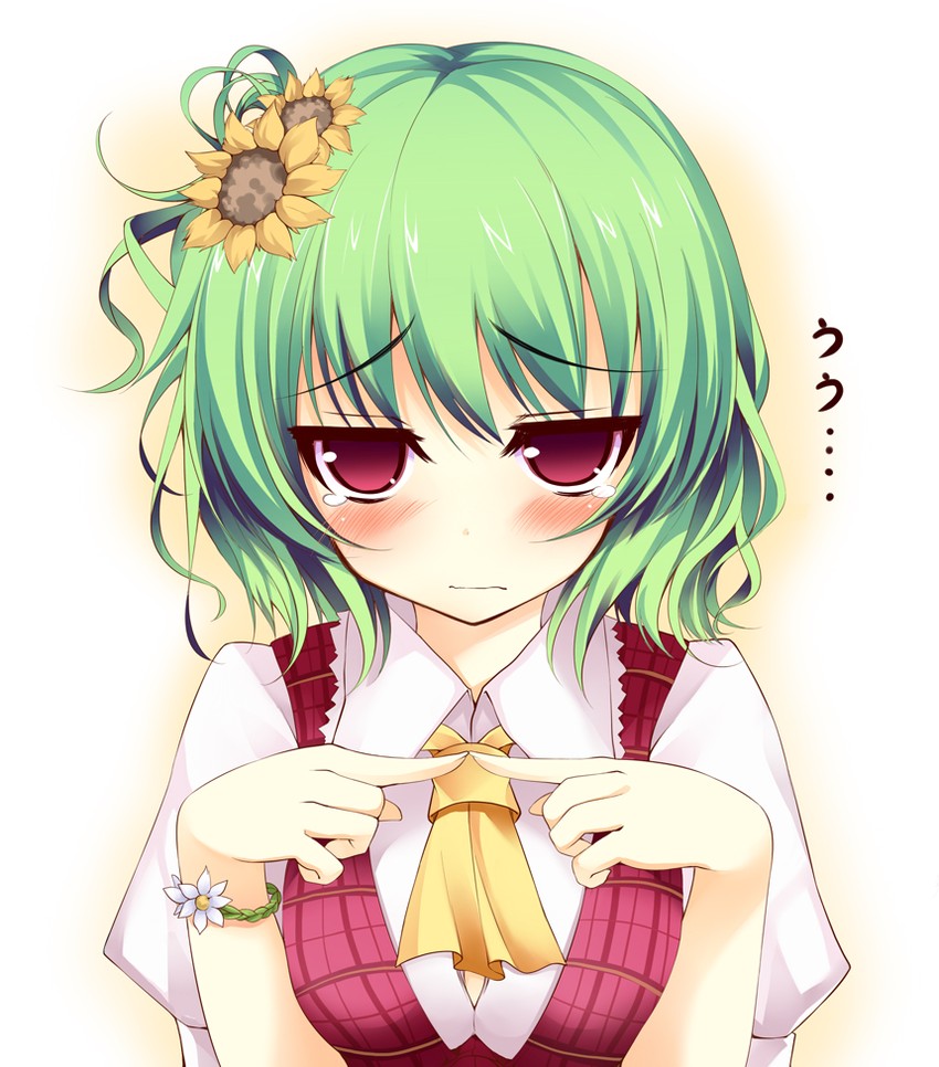 kazami yuuka (touhou) drawn by kusano_(torisukerabasu)