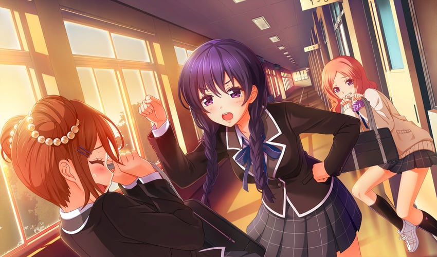 kondou saki, nitta minako, and hanayama emi (cinderella series and 1 more)