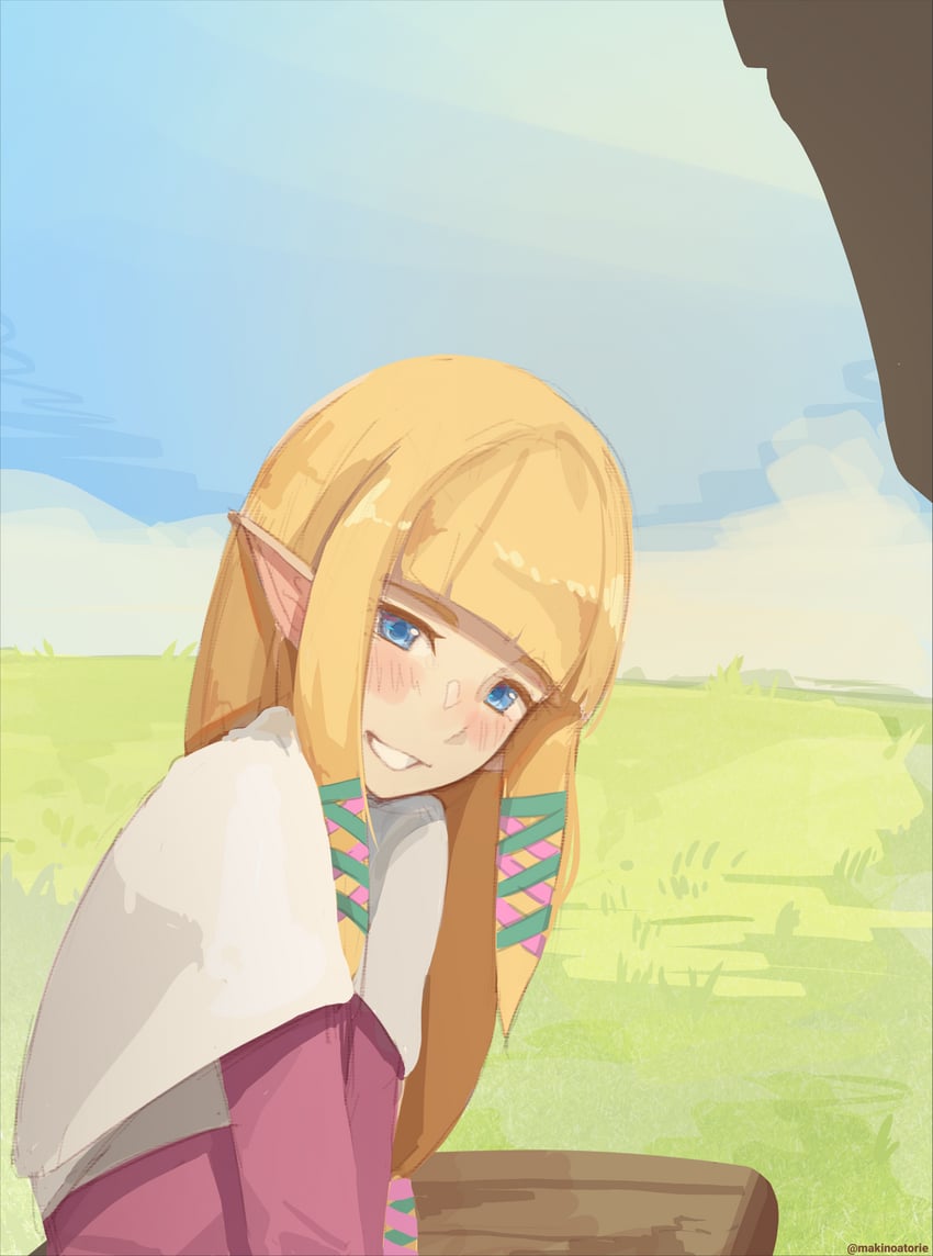 princess zelda (the legend of zelda and 1 more) drawn by sushoartworks