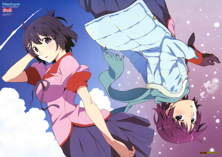 senjougahara hitagi and hanekawa tsubasa (monogatari and 2 more) drawn by sugiyama_nobuhiro