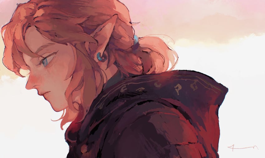 link (the legend of zelda and 1 more) drawn by dadadadadaist